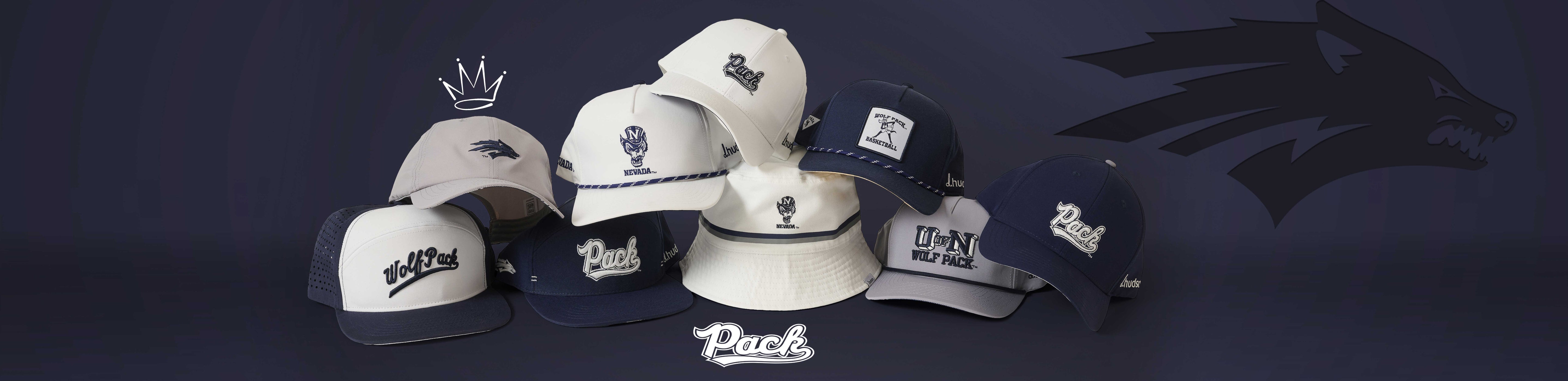 University Of Nevada