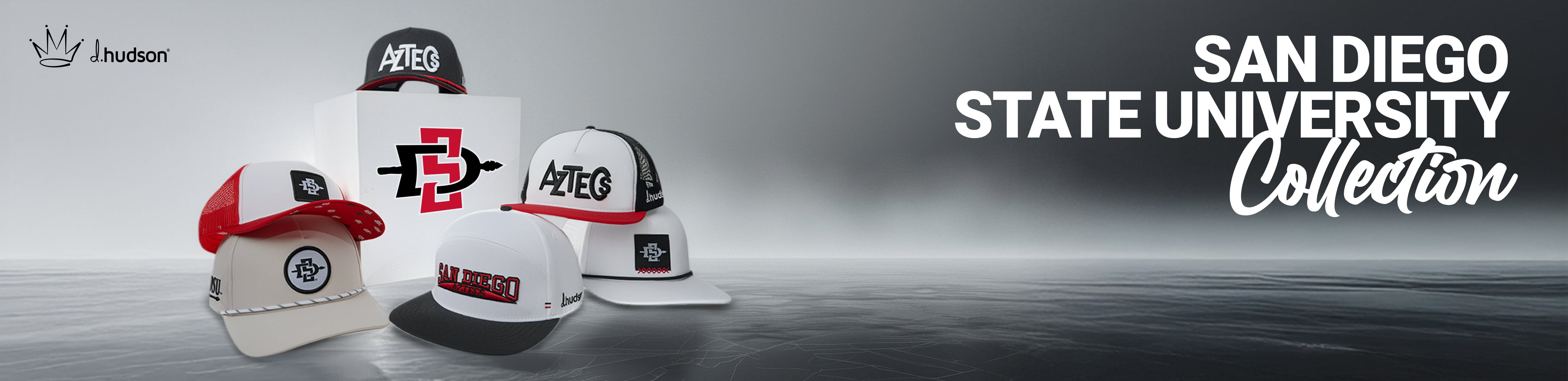 San Diego State University